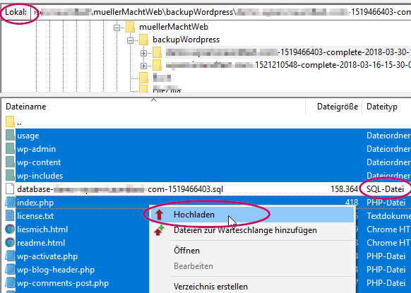 Backupwordpress Backup wiederherstellen