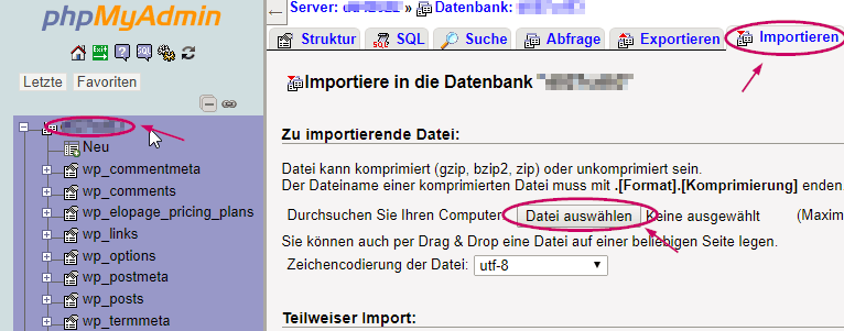 Backupwordpress Backup wiederherstellen